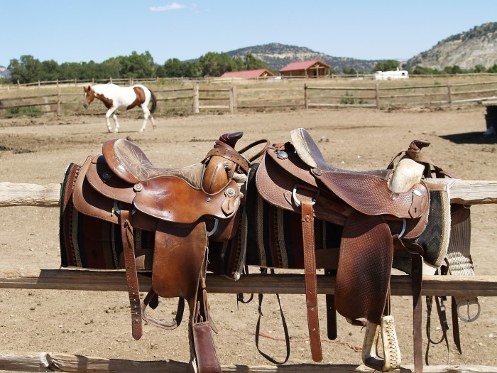 The saddles to buy at equitack.com