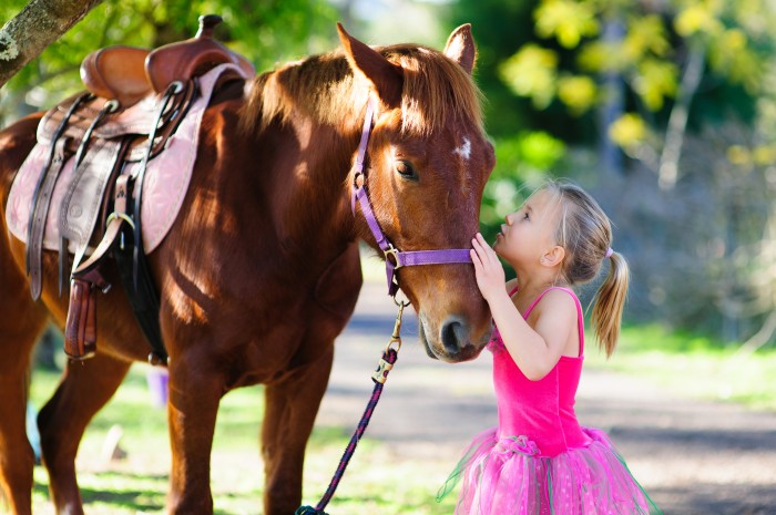 The different types and brands of restored saddles for sale